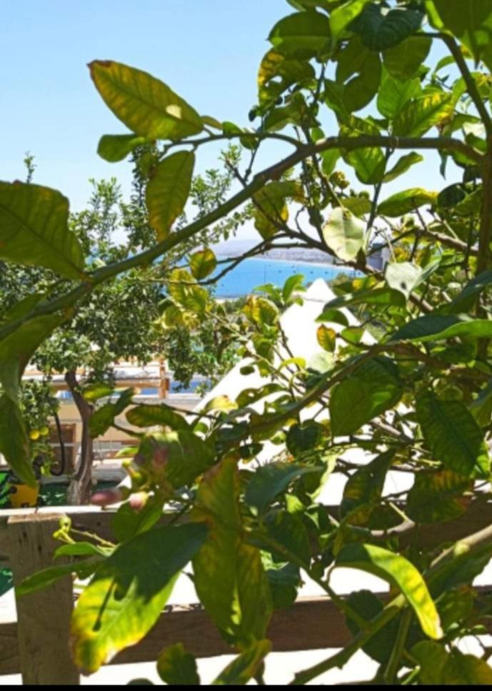 Queens Luxury Glamping Palaiokastro  Exterior photo