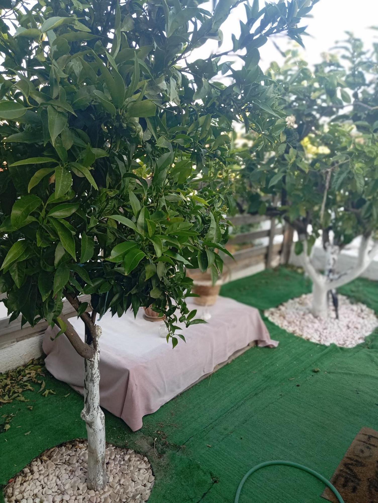 Queens Luxury Glamping Palaiokastro  Exterior photo